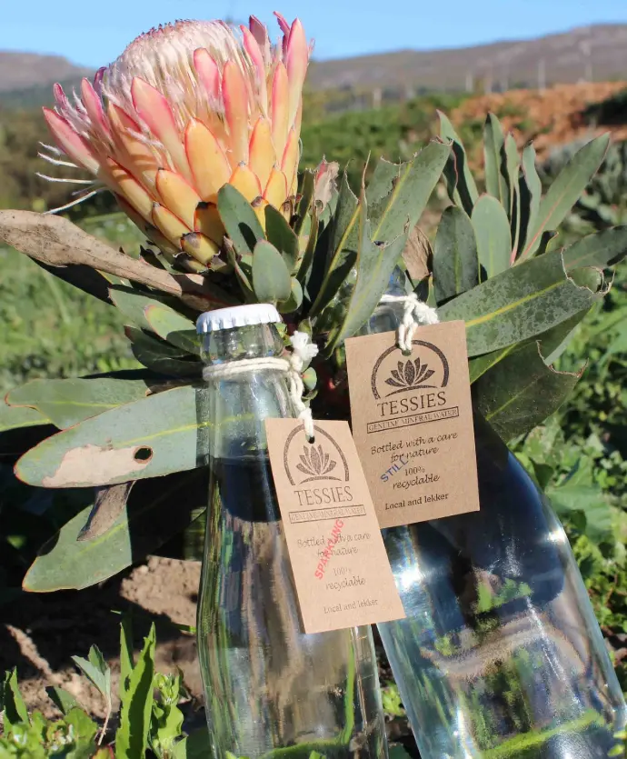 [20sp] 660ml Sparkling Water (Crate of 20)